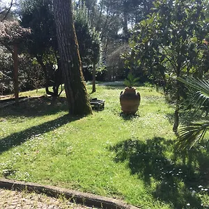 Old Town In The Green: Federico's Apartment. Apartment